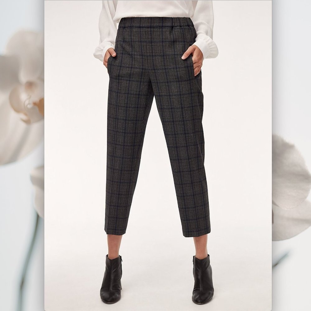 Aritzia Wilfred Darontal Pants